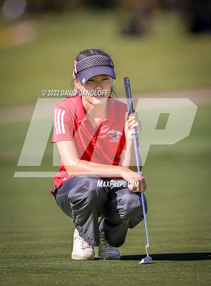 Thumbnail 2 in CIF Girls Golf Championship photogallery.