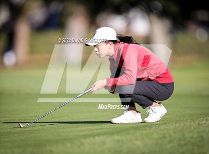 Thumbnail 2 in CIF Girls Golf Championship photogallery.