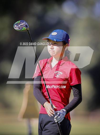 Thumbnail 3 in CIF Girls Golf Championship photogallery.