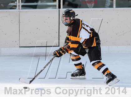 Thumbnail 1 in Lutheran South vs Oakville (St. Louis Winter Classic) photogallery.