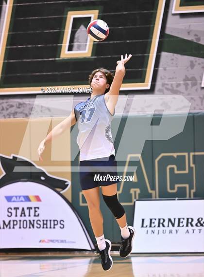 Thumbnail 1 in Casteel vs. Williams Field (AIA 5A Final) photogallery.
