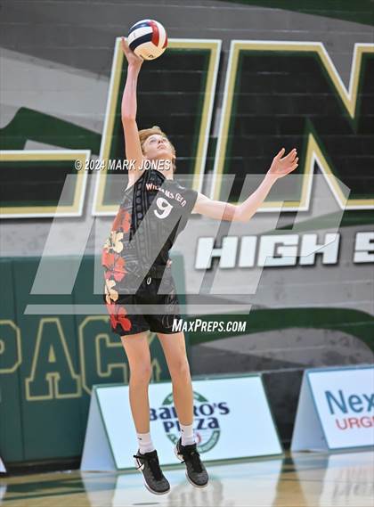 Thumbnail 1 in Casteel vs. Williams Field (AIA 5A Final) photogallery.