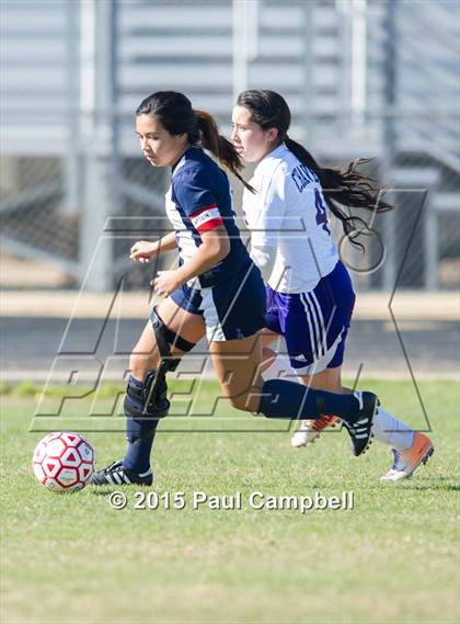 Thumbnail 1 in Apollo vs Cesar Chavez (Sun Valley Classic) photogallery.