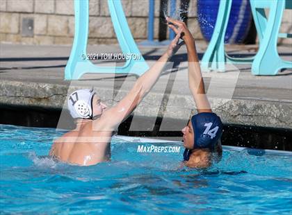Thumbnail 2 in Milken @ Alhambra photogallery.