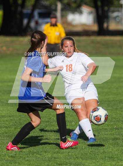 Thumbnail 1 in South Meford @ Roseburg photogallery.