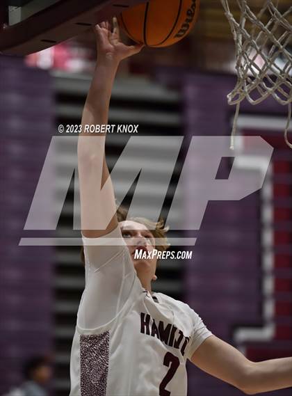 Thumbnail 2 in Basha @ Hamilton photogallery.