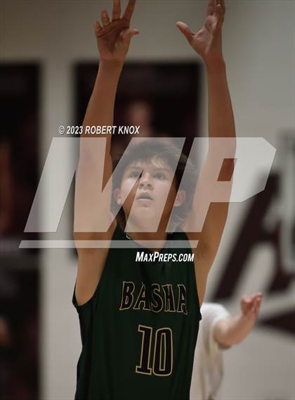 Thumbnail 2 in Basha @ Hamilton photogallery.
