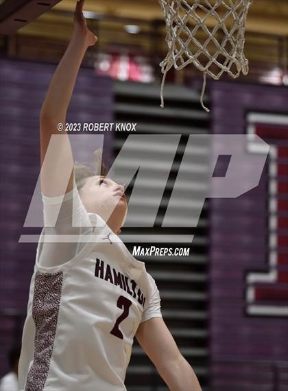 Thumbnail 3 in Basha @ Hamilton photogallery.