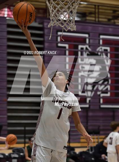 Thumbnail 2 in Basha @ Hamilton photogallery.
