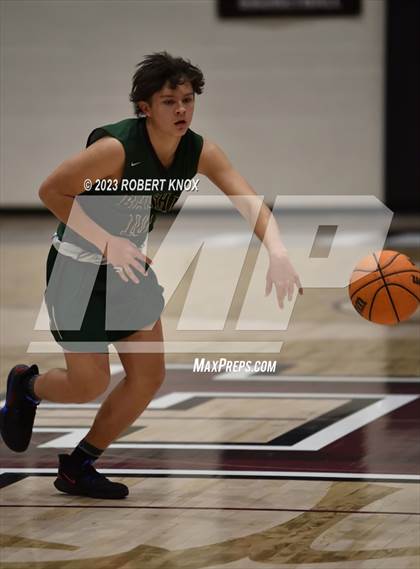 Thumbnail 1 in Basha @ Hamilton photogallery.