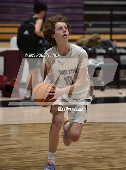Thumbnail 3 in Basha @ Hamilton photogallery.