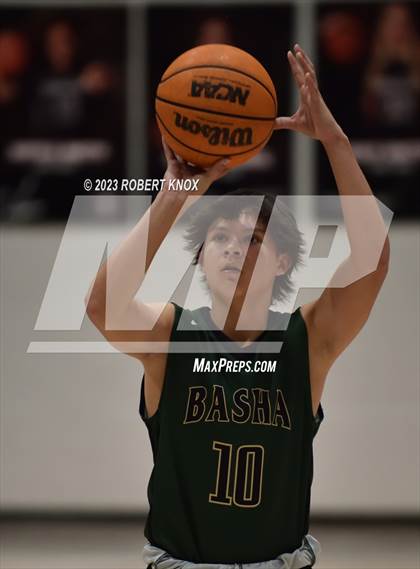 Thumbnail 2 in Basha @ Hamilton photogallery.