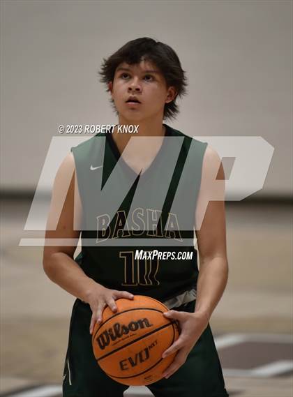 Thumbnail 1 in Basha @ Hamilton photogallery.