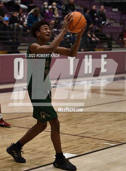 Thumbnail 3 in Basha @ Hamilton photogallery.