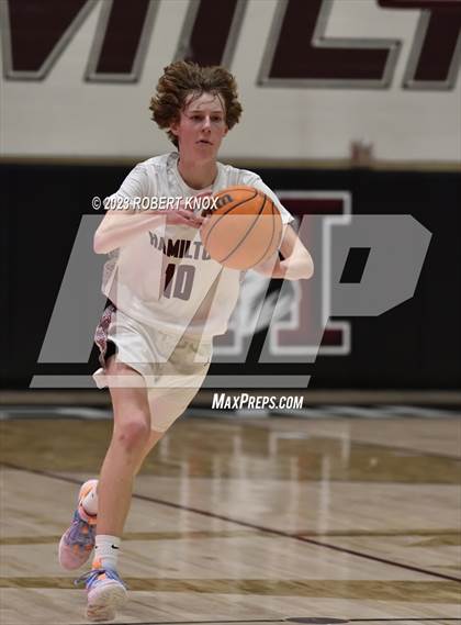Thumbnail 3 in Basha @ Hamilton photogallery.