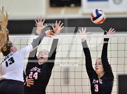 Thumbnail 1 in Bowie @ Vandegrift  photogallery.