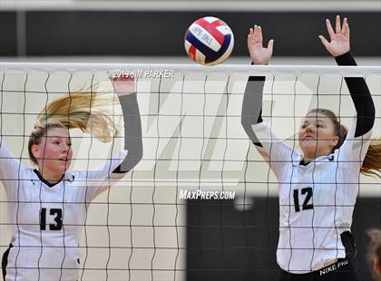 Thumbnail 2 in Bowie @ Vandegrift  photogallery.