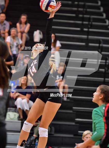 Thumbnail 1 in Bowie @ Vandegrift  photogallery.