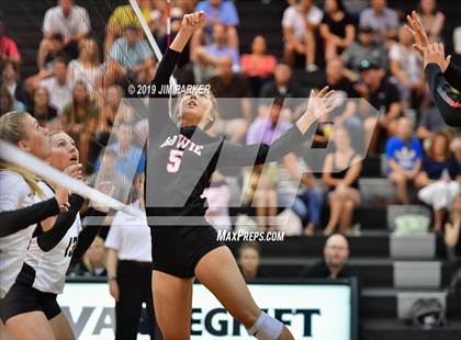 Thumbnail 1 in Bowie @ Vandegrift  photogallery.