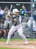 Photo from the gallery "Kingwood @ Spring"