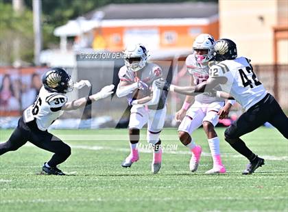 Thumbnail 1 in Foster @ Manvel photogallery.