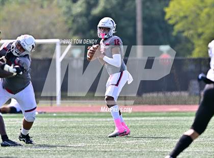 Thumbnail 3 in Foster @ Manvel photogallery.