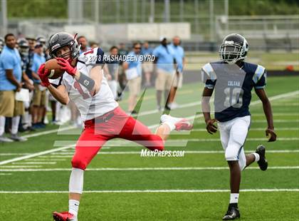 Thumbnail 2 in Patriot @ Charles J. Colgan photogallery.