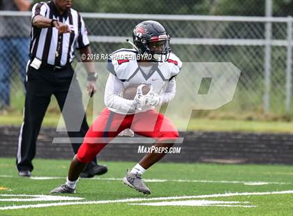 Thumbnail 1 in Patriot @ Charles J. Colgan photogallery.