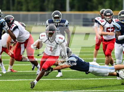 Thumbnail 3 in Patriot @ Charles J. Colgan photogallery.