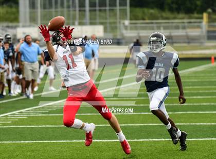 Thumbnail 1 in Patriot @ Charles J. Colgan photogallery.