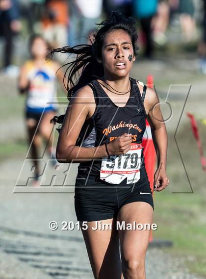 Thumbnail 3 in MVAL Cross Country Finals (CIF NCS) photogallery.