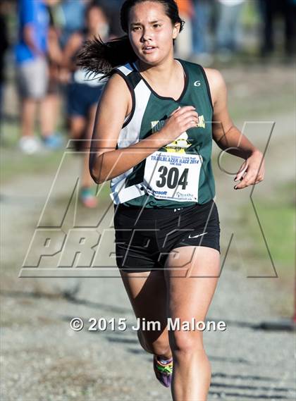 Thumbnail 3 in MVAL Cross Country Finals (CIF NCS) photogallery.