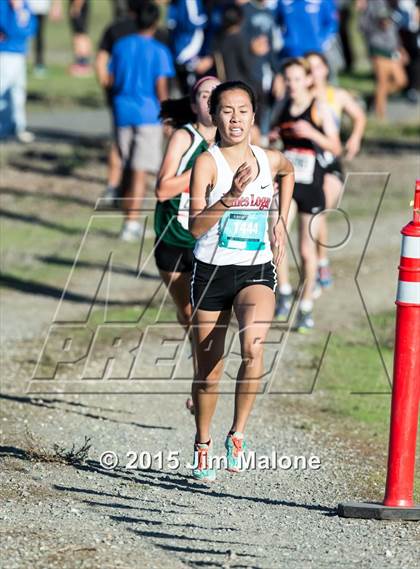 Thumbnail 2 in MVAL Cross Country Finals (CIF NCS) photogallery.