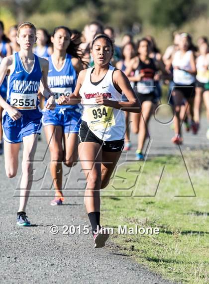 Thumbnail 2 in MVAL Cross Country Finals (CIF NCS) photogallery.