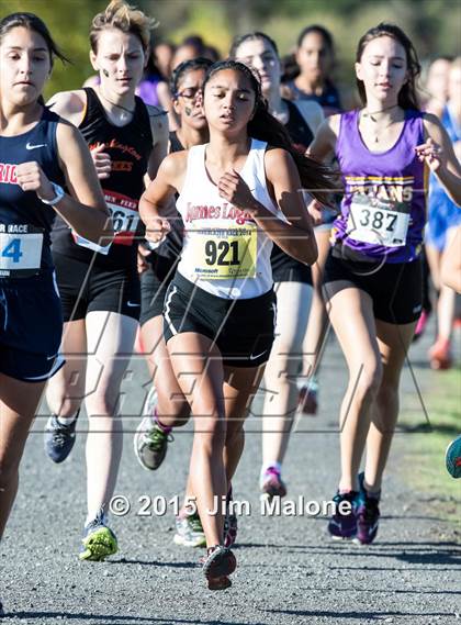 Thumbnail 3 in MVAL Cross Country Finals (CIF NCS) photogallery.