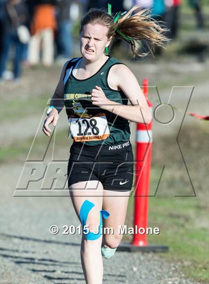 Thumbnail 2 in MVAL Cross Country Finals (CIF NCS) photogallery.
