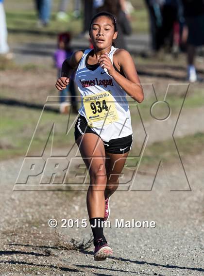 Thumbnail 1 in MVAL Cross Country Finals (CIF NCS) photogallery.