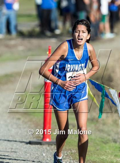 Thumbnail 3 in MVAL Cross Country Finals (CIF NCS) photogallery.