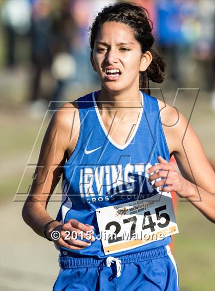 Thumbnail 1 in MVAL Cross Country Finals (CIF NCS) photogallery.