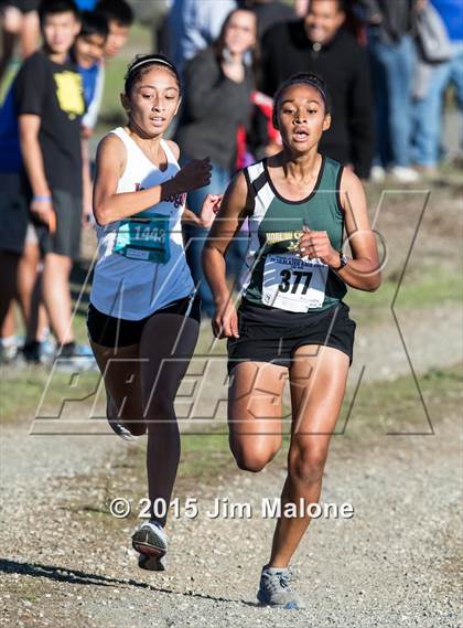 Thumbnail 3 in MVAL Cross Country Finals (CIF NCS) photogallery.