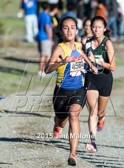 Thumbnail 2 in MVAL Cross Country Finals (CIF NCS) photogallery.