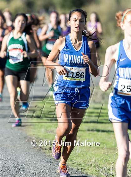 Thumbnail 1 in MVAL Cross Country Finals (CIF NCS) photogallery.