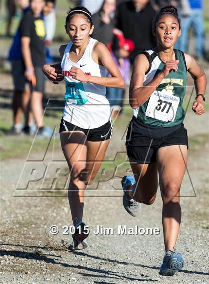 Thumbnail 3 in MVAL Cross Country Finals (CIF NCS) photogallery.