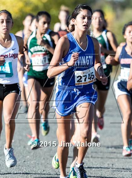 Thumbnail 1 in MVAL Cross Country Finals (CIF NCS) photogallery.