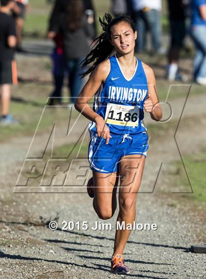 Thumbnail 1 in MVAL Cross Country Finals (CIF NCS) photogallery.