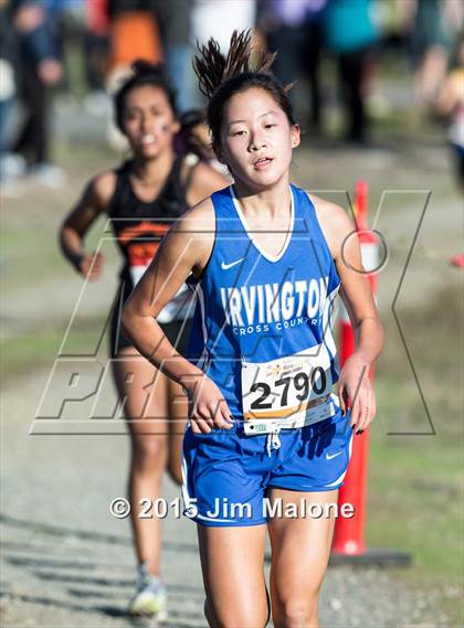 Thumbnail 2 in MVAL Cross Country Finals (CIF NCS) photogallery.
