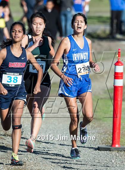 Thumbnail 3 in MVAL Cross Country Finals (CIF NCS) photogallery.