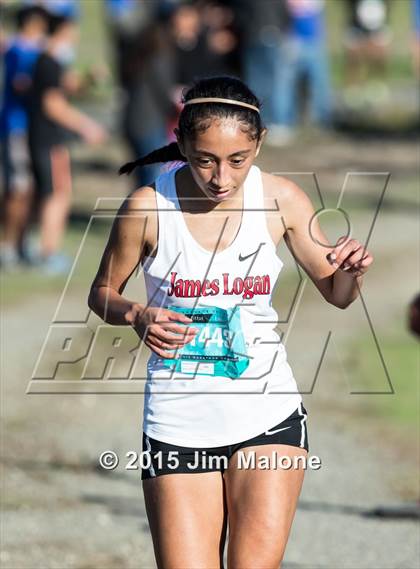 Thumbnail 3 in MVAL Cross Country Finals (CIF NCS) photogallery.