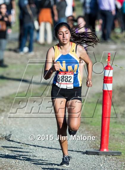 Thumbnail 1 in MVAL Cross Country Finals (CIF NCS) photogallery.