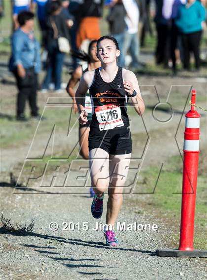 Thumbnail 3 in MVAL Cross Country Finals (CIF NCS) photogallery.